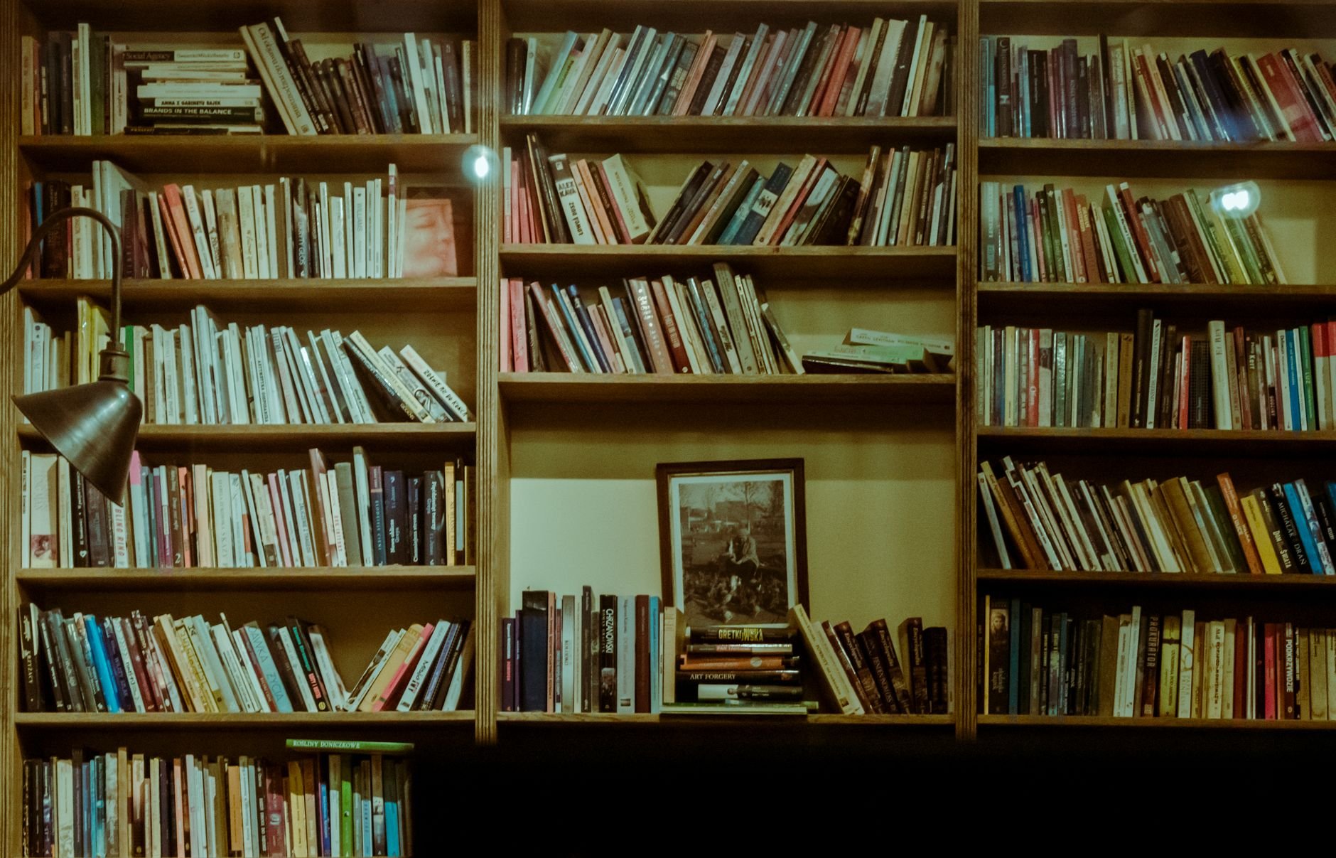 A cozy home library with warm wooden bookshelves and a reading lamp — the inspiration for Schoolhouse Studio